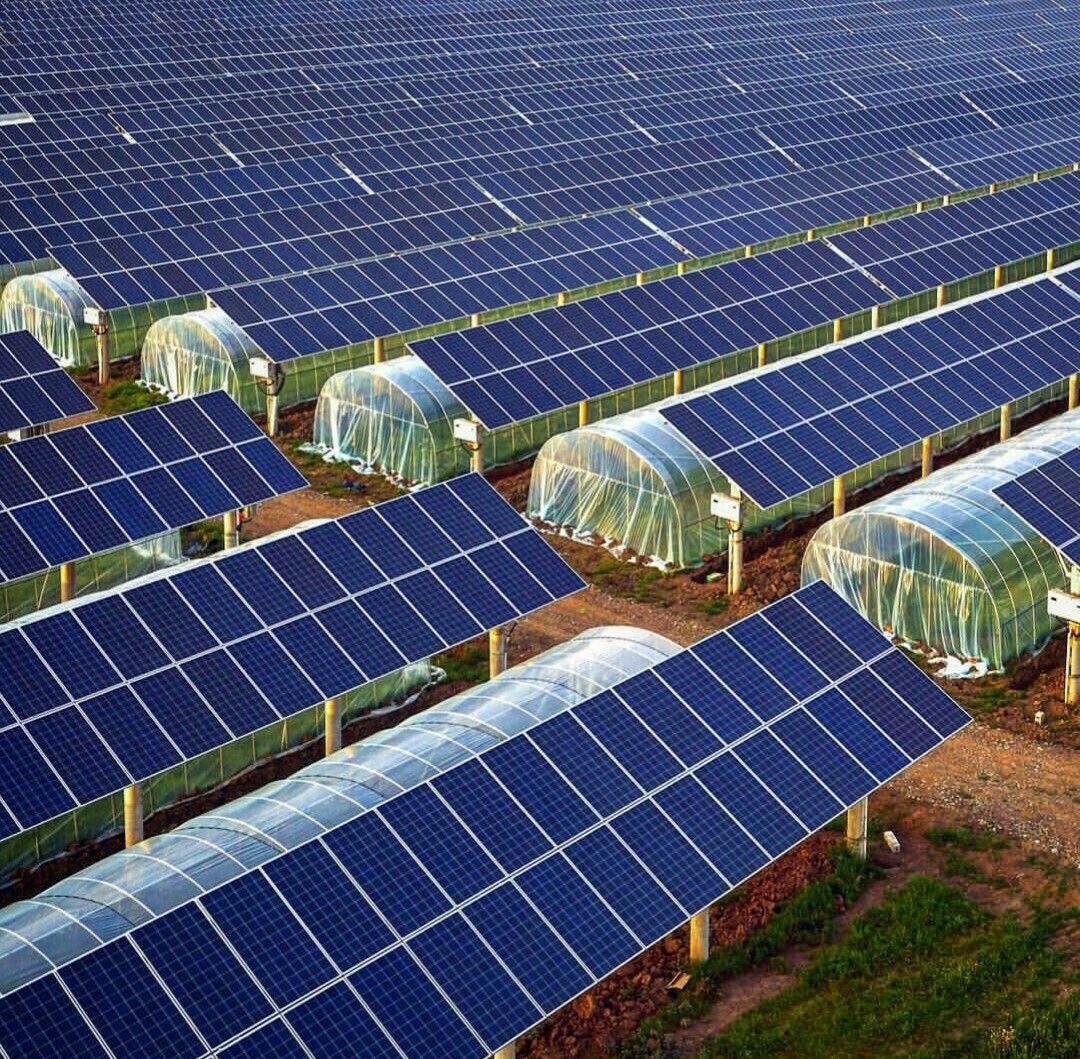Agrovoltaics — Solar for Farmers